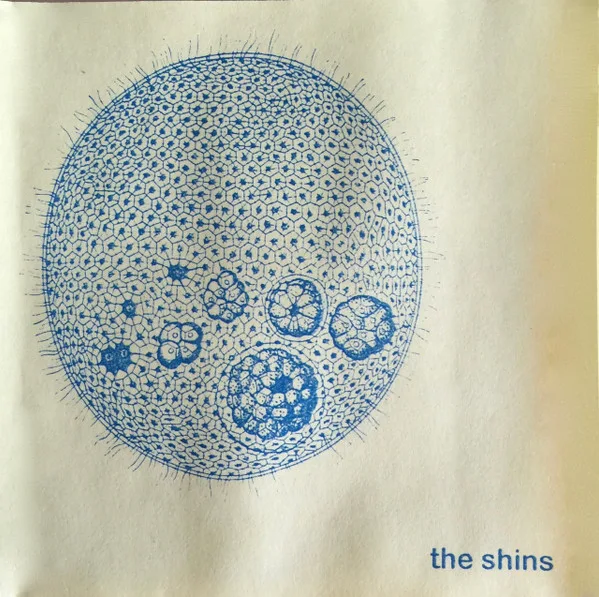 Official album cover art for the release Shins by The Shins