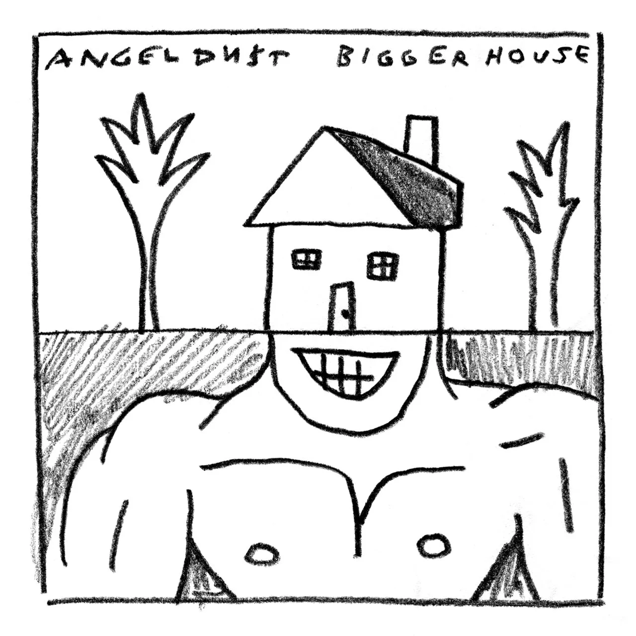 Official album cover art for the release Bigger House by Angel Du$t