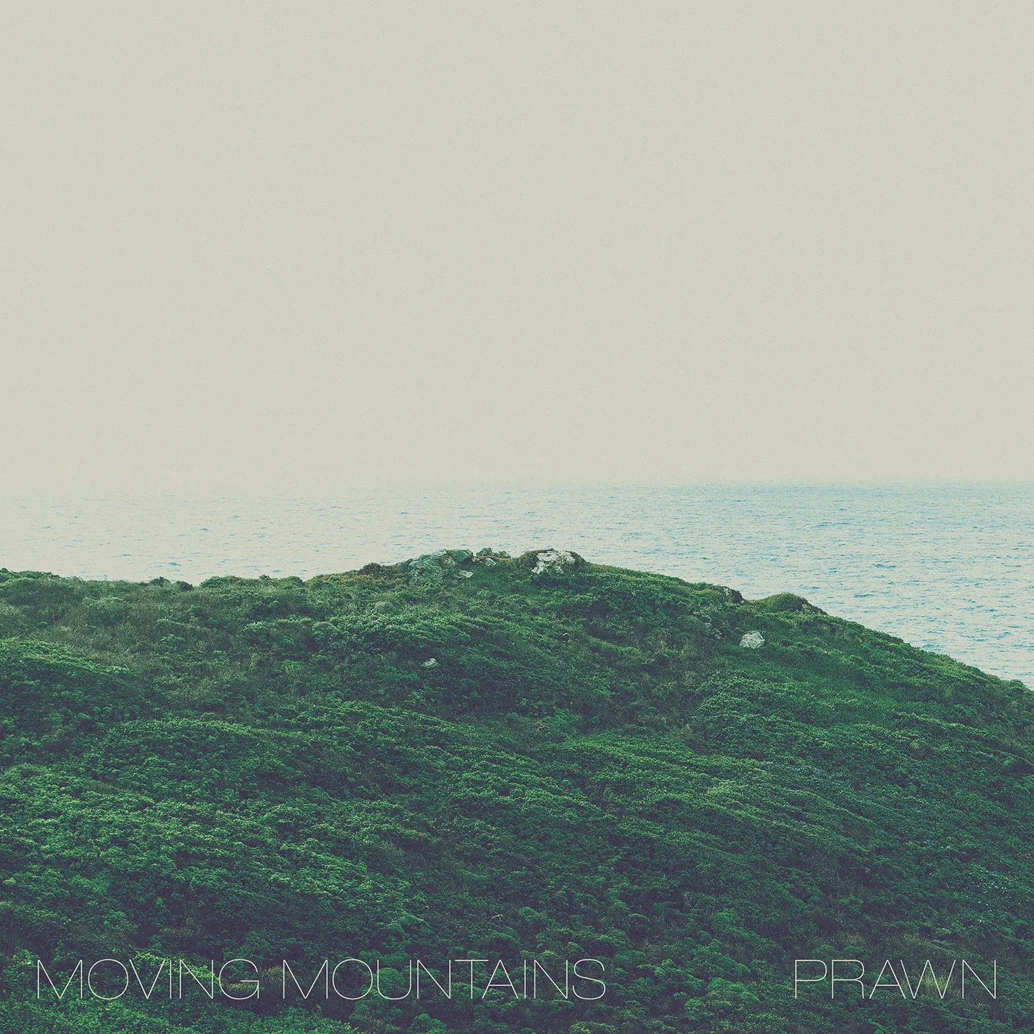 Moving Mountains / Prawn