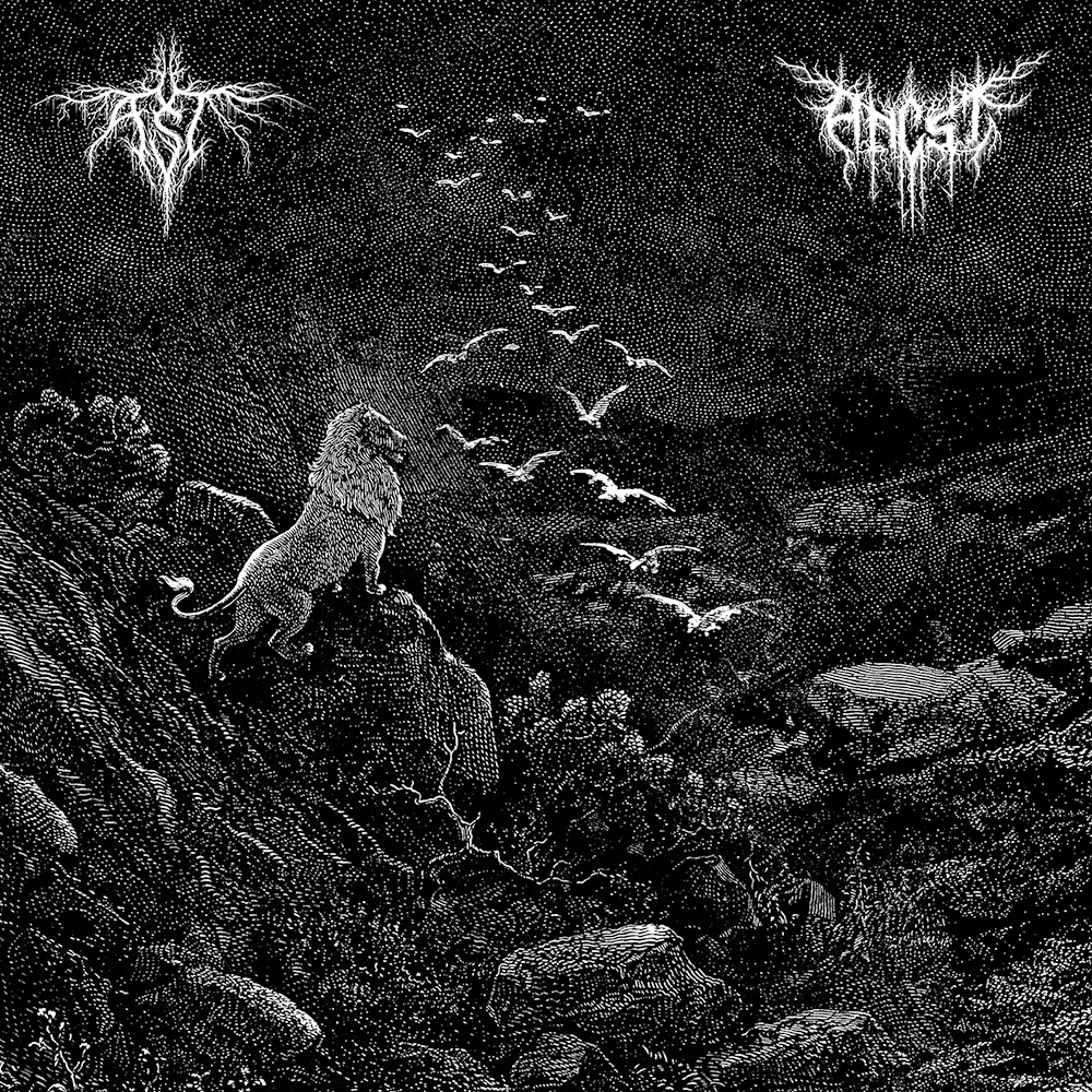 Official album cover art for the release Ancst / Ast by Ast