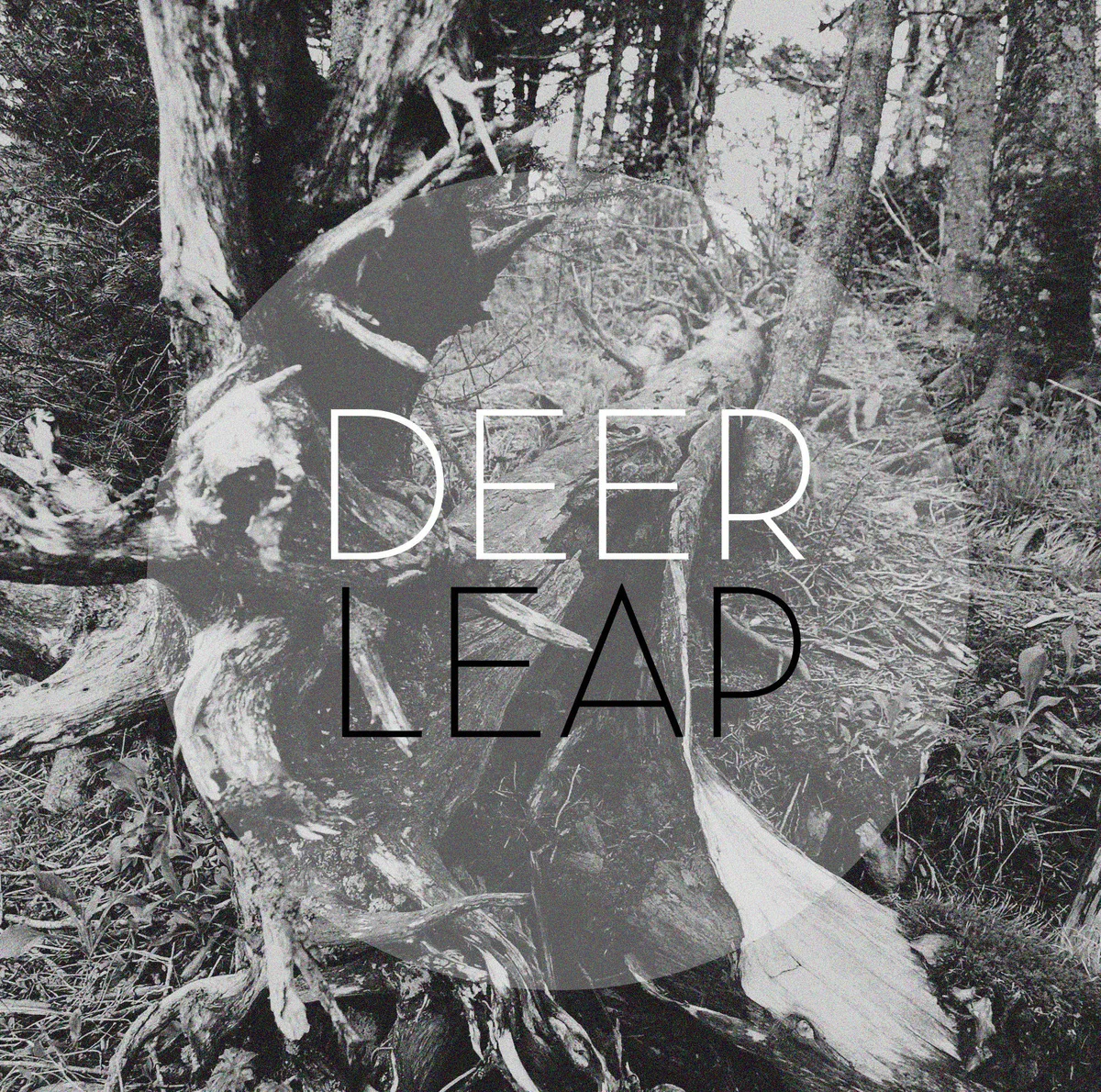 Official album cover art for the release Here. Home. by Deer Leap