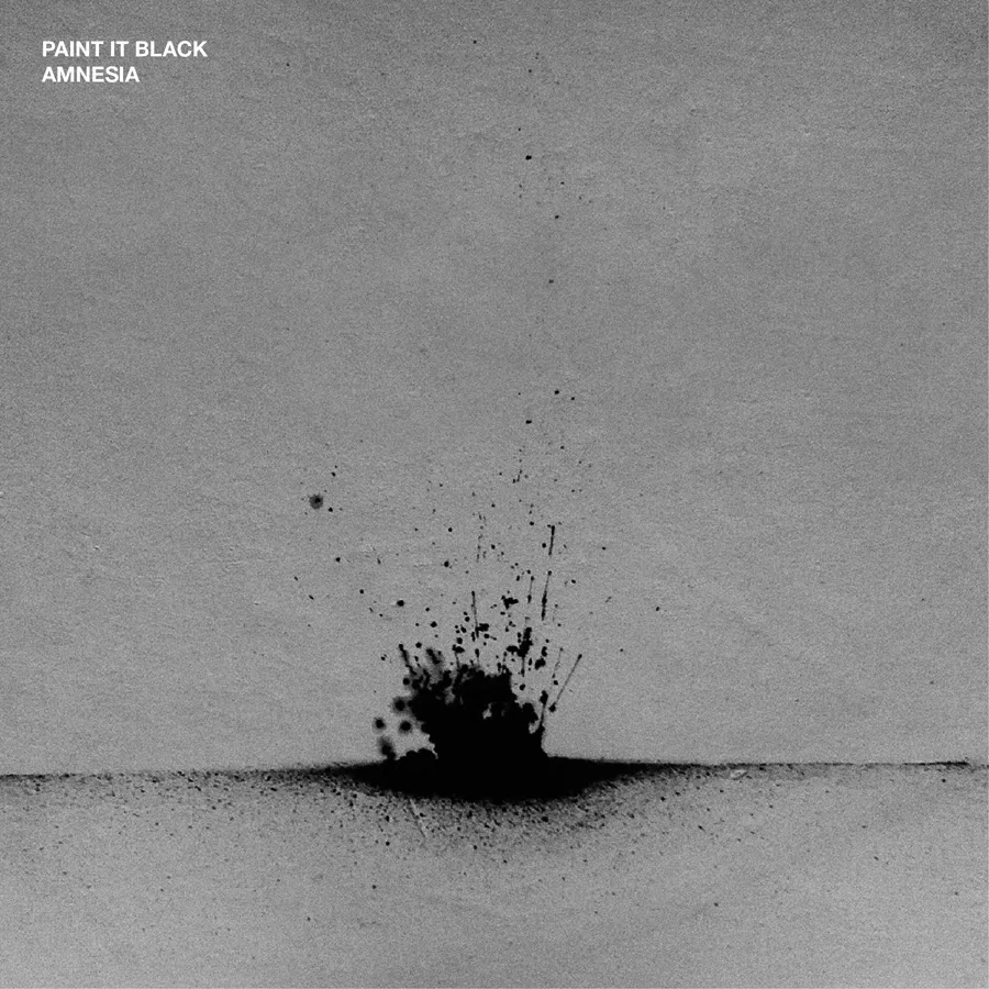 Official album cover art for the release Amnesia by Paint It Black