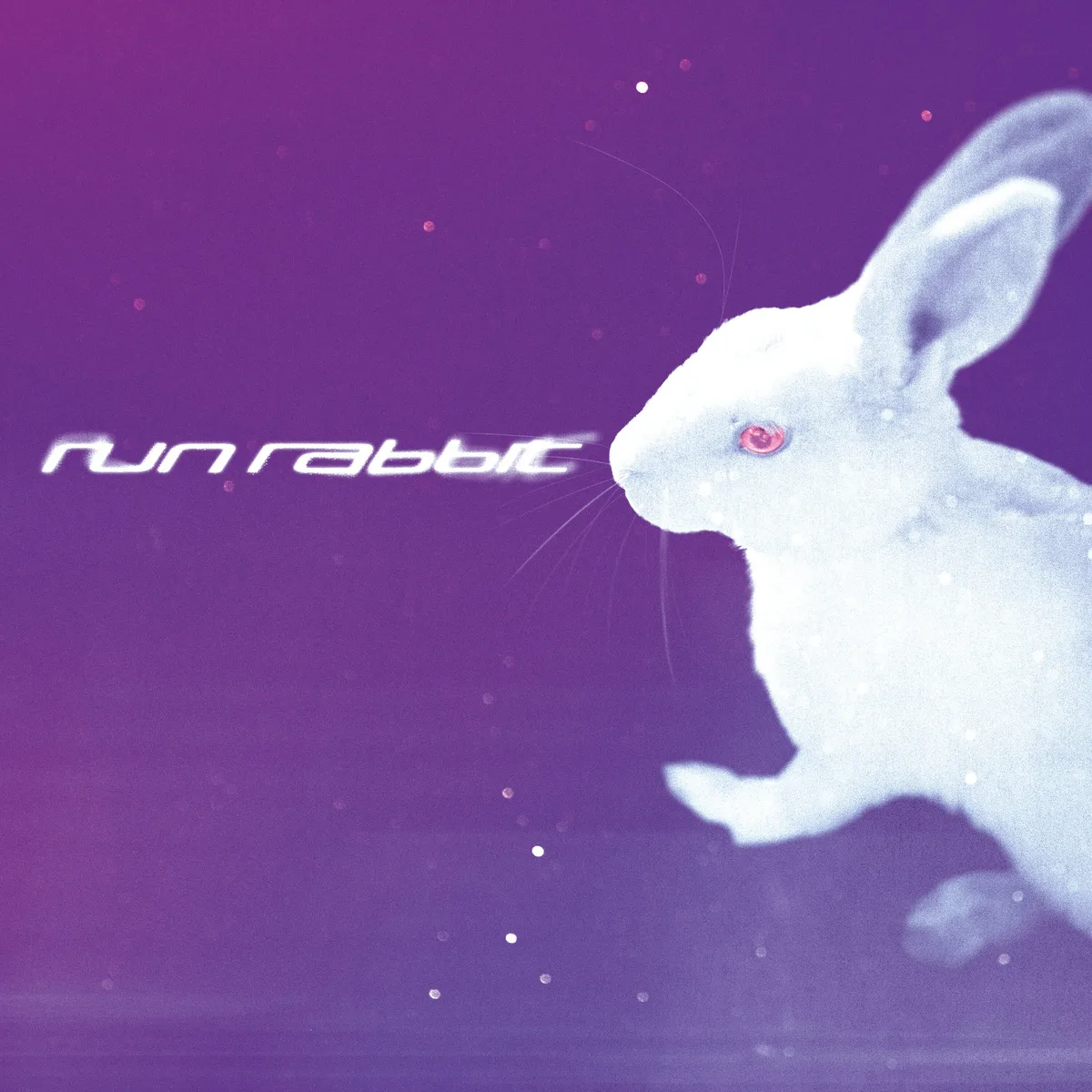 Official album cover art for the release Run Rabbit by ALT BLK ERA