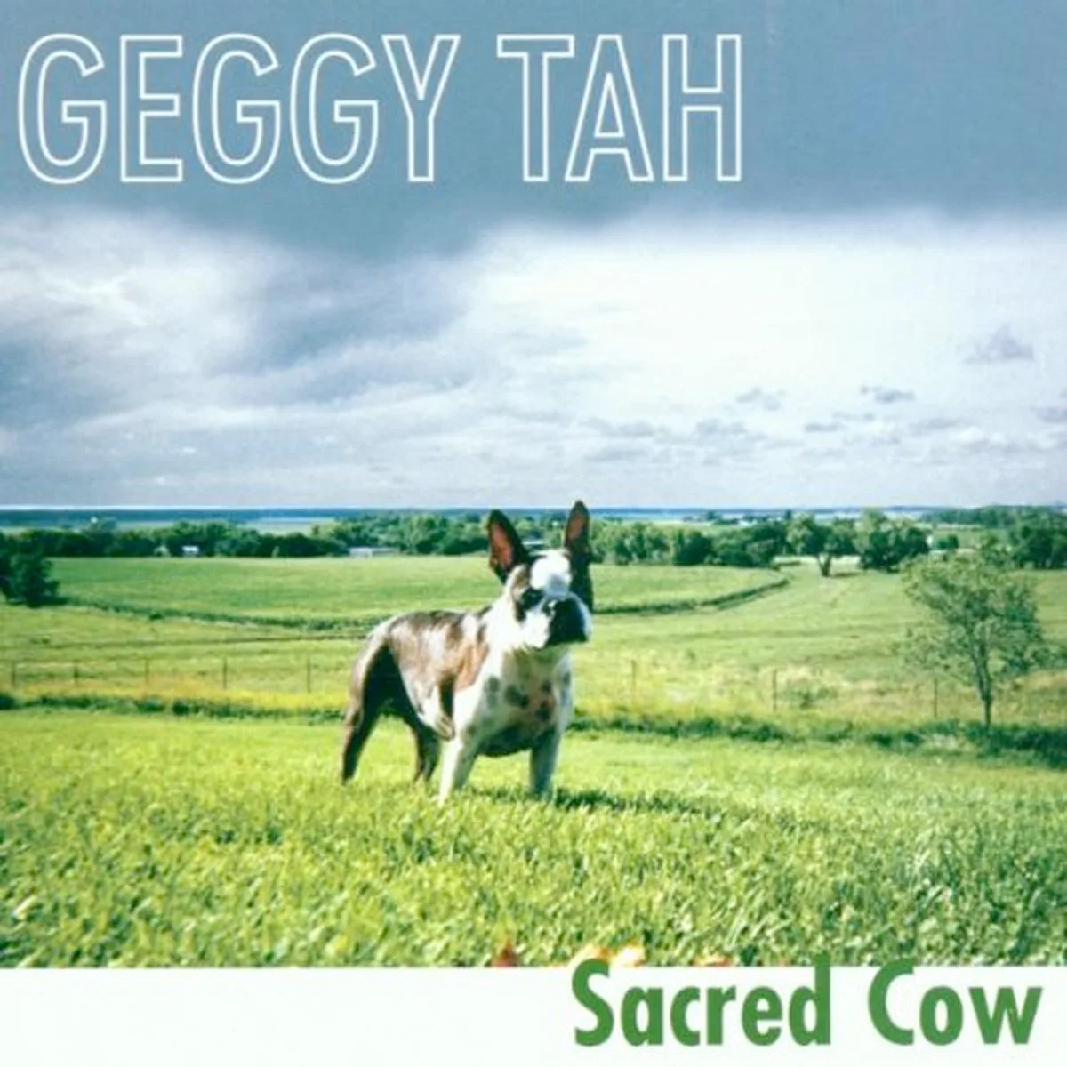 Sacred Cow