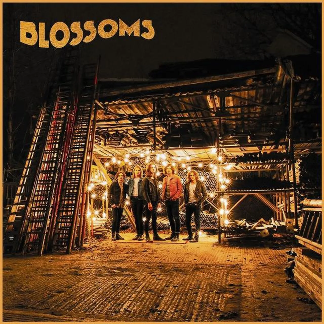 Official album cover artwork for Blossoms by Blossoms