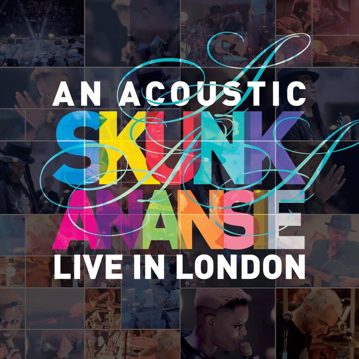An Acoustic Skunk Anansie: Live in London