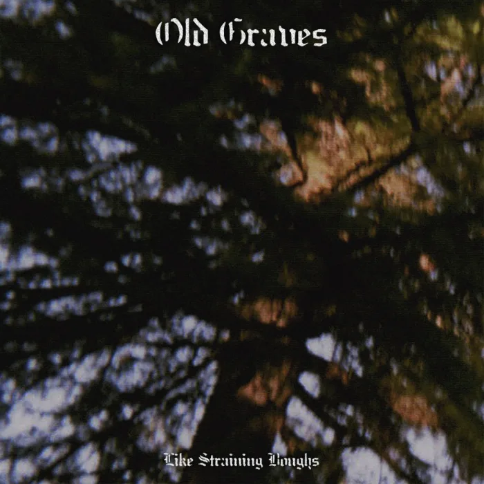 Official album cover art for the release Like Straining Boughs by Old Graves
