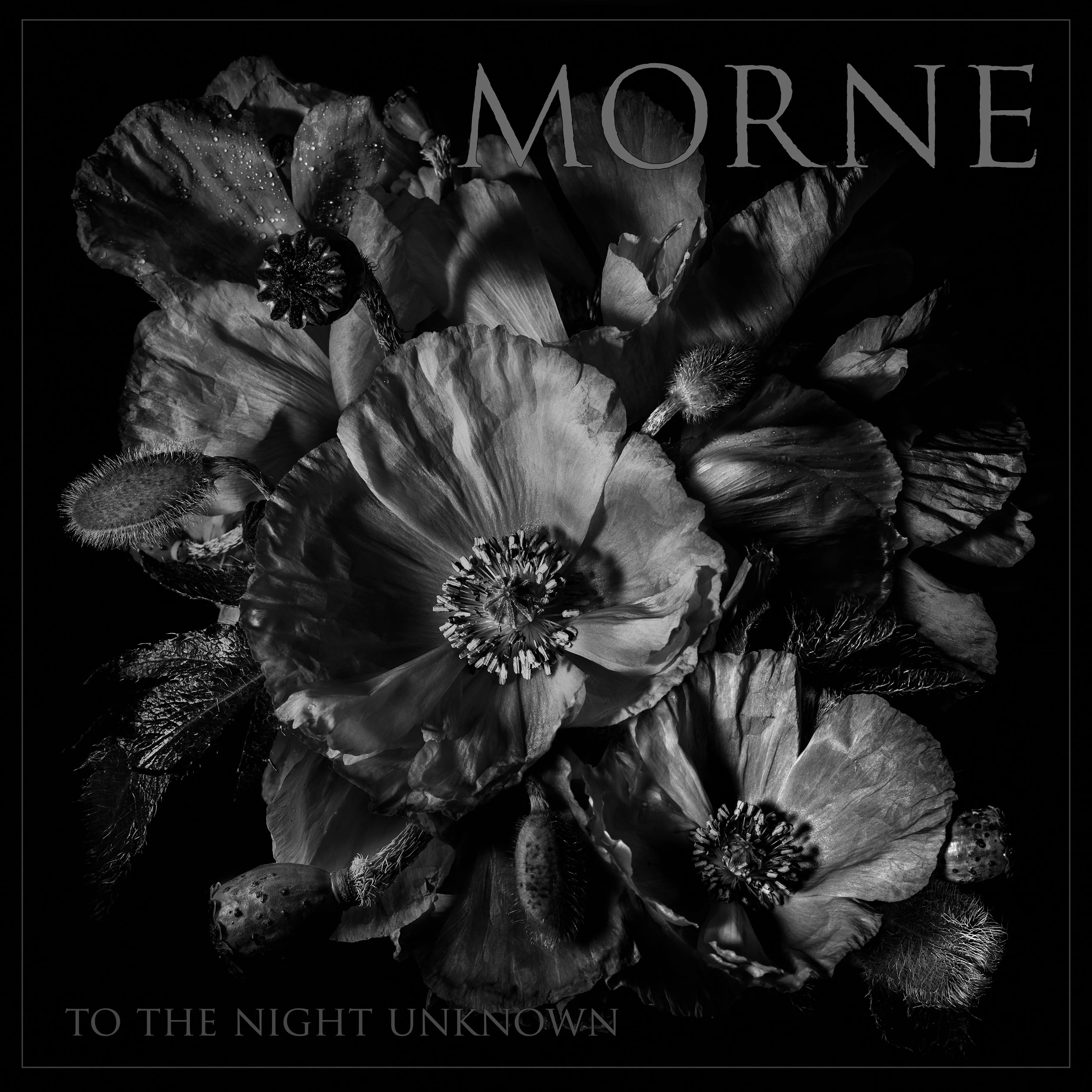 To the Night Unknown