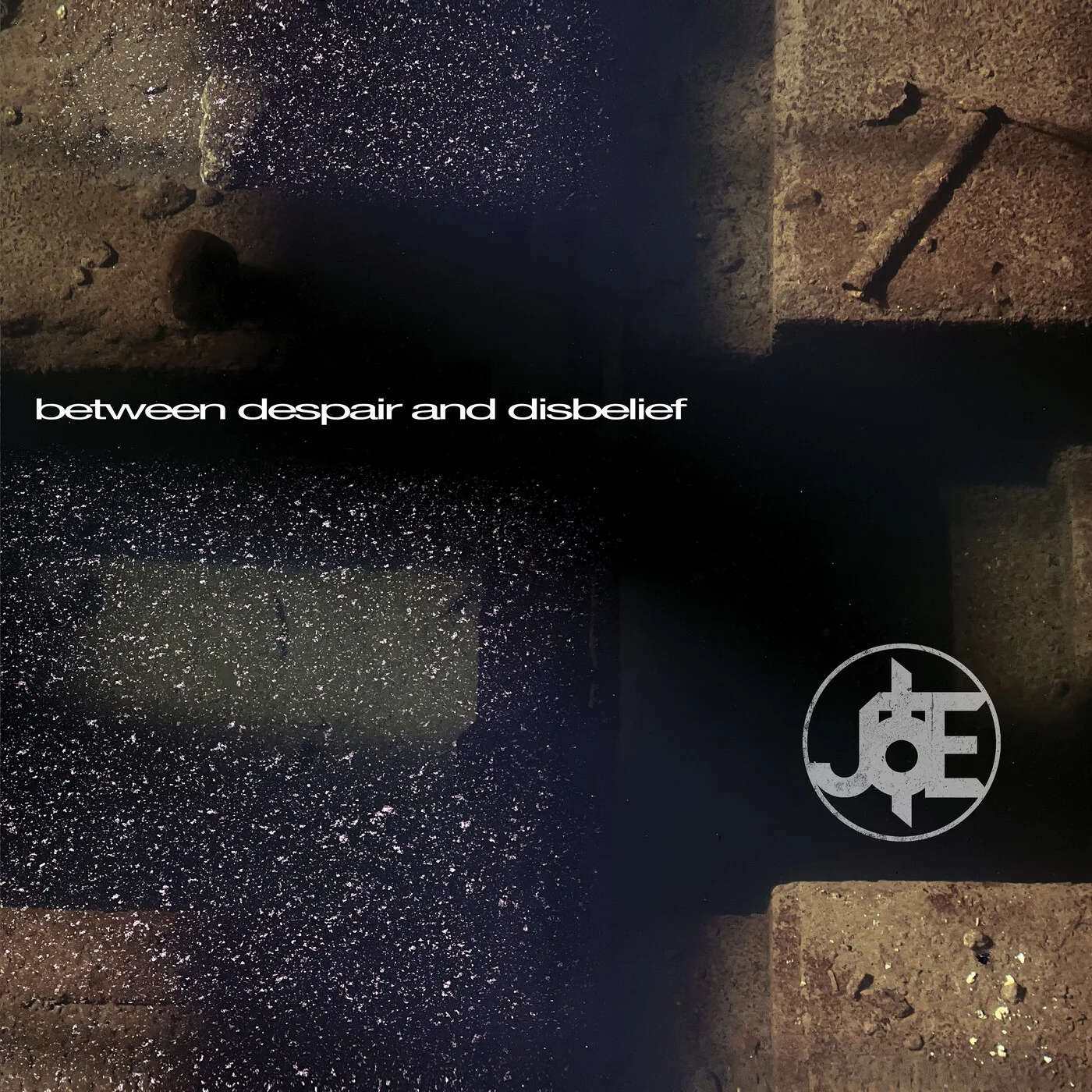 Between Despair and Disbelief