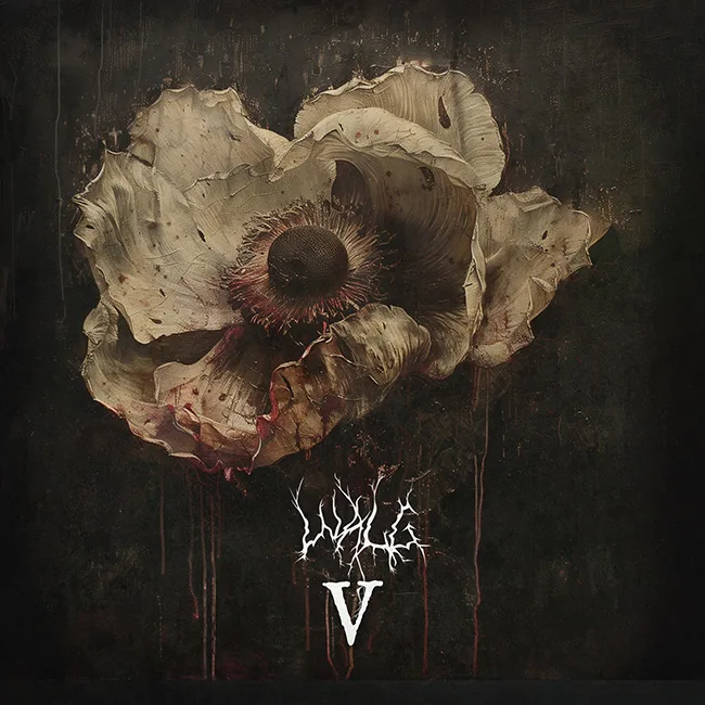 Official album cover art for the release V by Walg