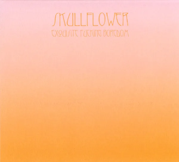 Official album cover art for the release Exquisite Fucking Boredom by Skullflower