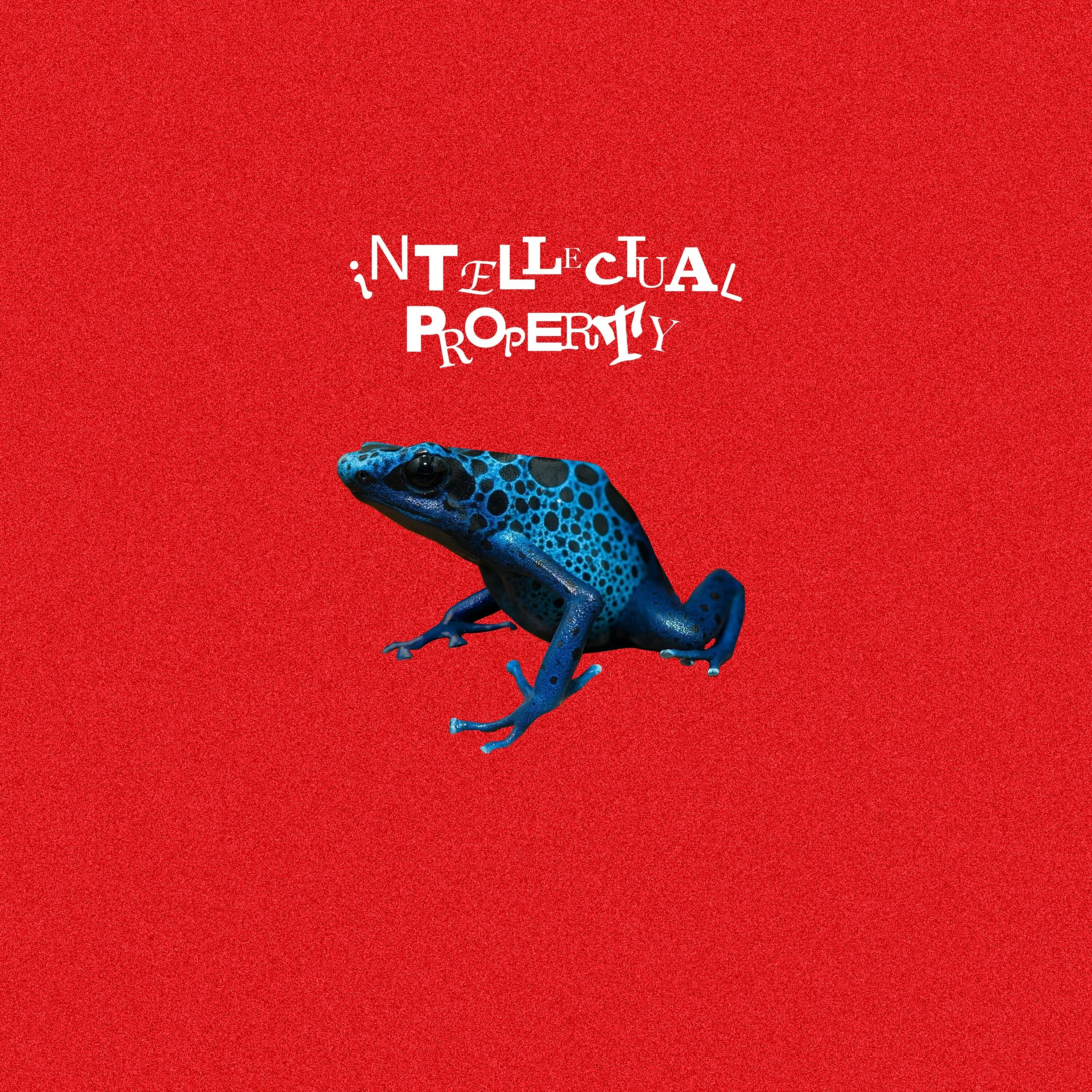 INTELLECTUAL PROPERTY