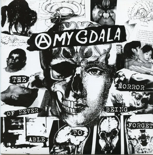 Official album cover art for the release The Horror Of Never Being Able To Forget by Amygdala