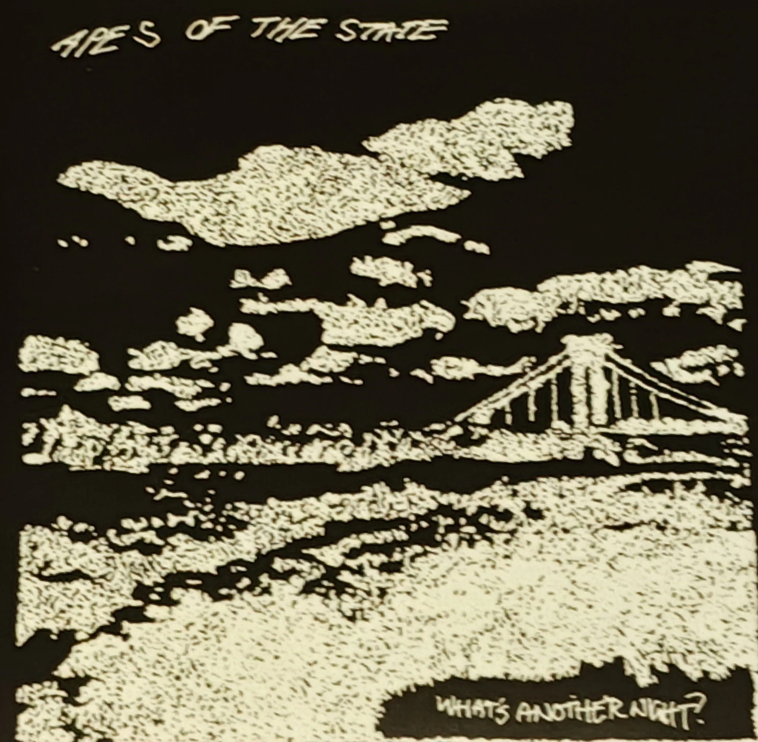Official album cover art for the release What's Another Night? by Apes of the State