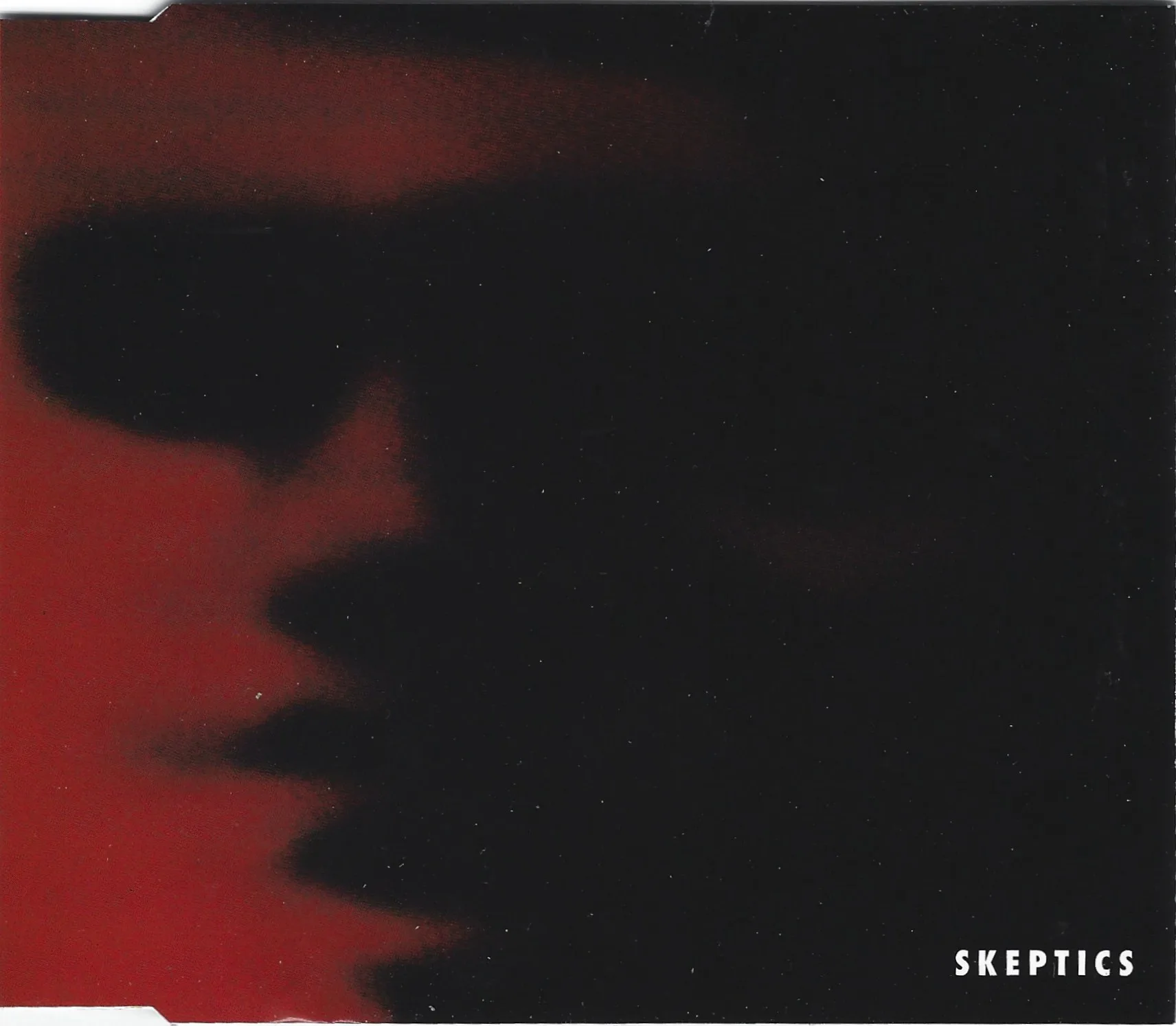 Official album cover art for the release If I Will I Can by Skeptics