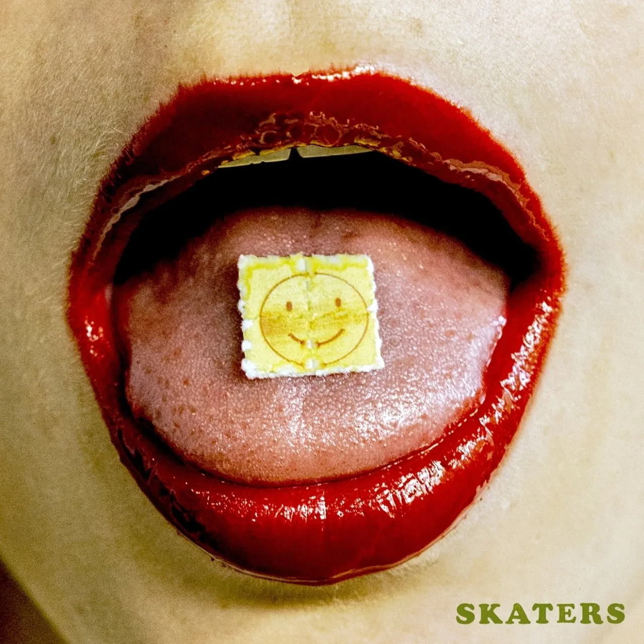 Official album cover art for the release Rock and Roll Bye Bye by Skaters