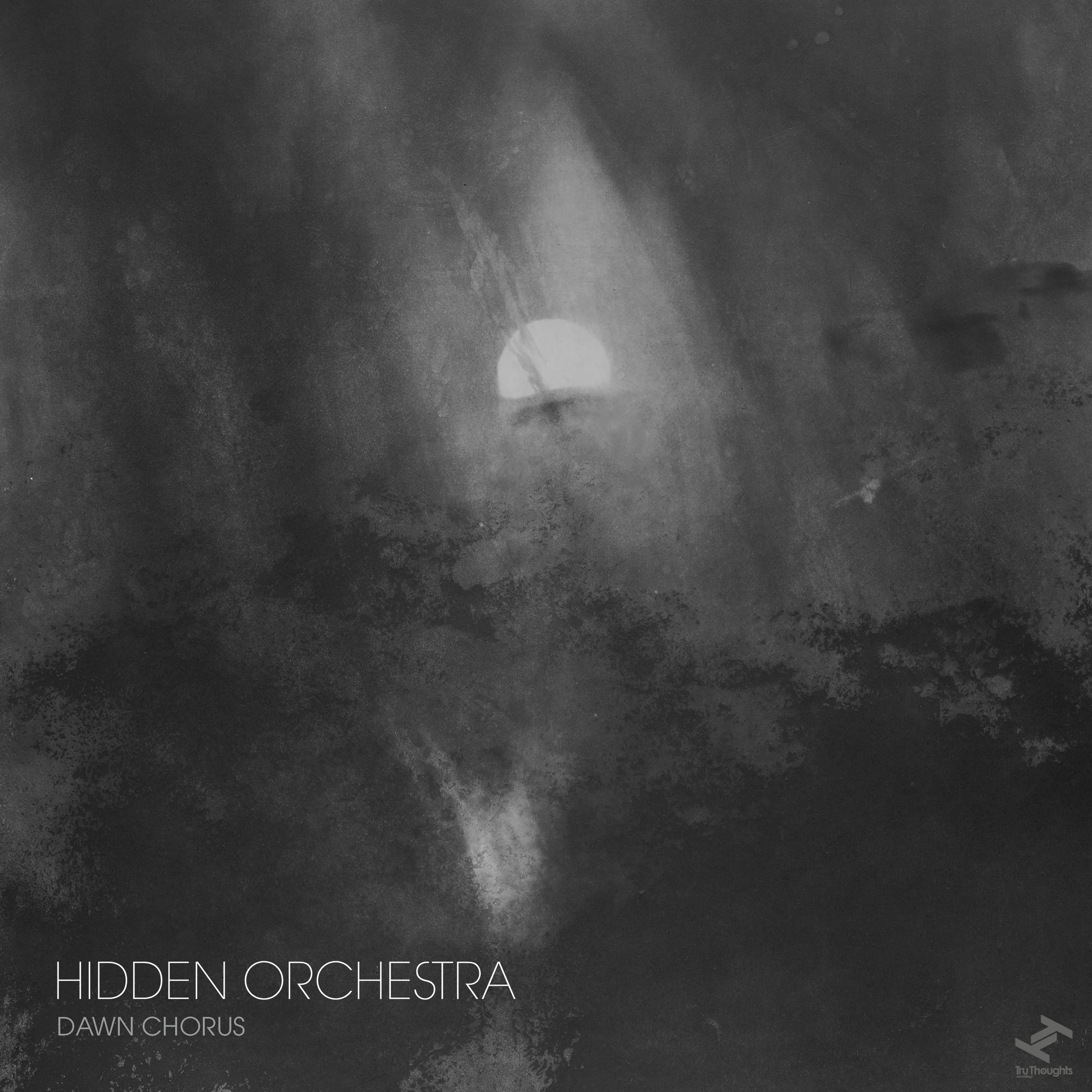 Official album cover artwork for Dawn Chorus by Hidden Orchestra