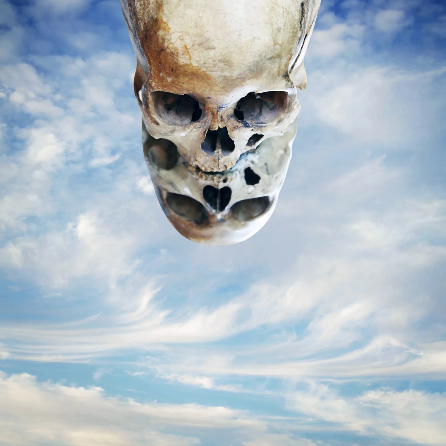 Official album cover art for the release Here in the Deadlights by Wizard Rifle
