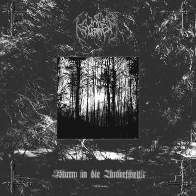 Official album cover art for the release Von Blutes Stimme gereinigt / Sturm in die Anderswelt by Silberbach