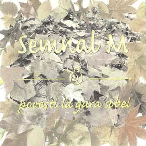 Official album cover art for the release Povești la gura sobei by Semnal M