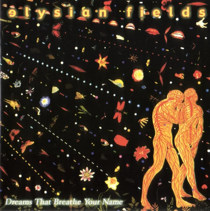 Official album cover art for the release Dreams That Breathe Your Name by Elysian Fields