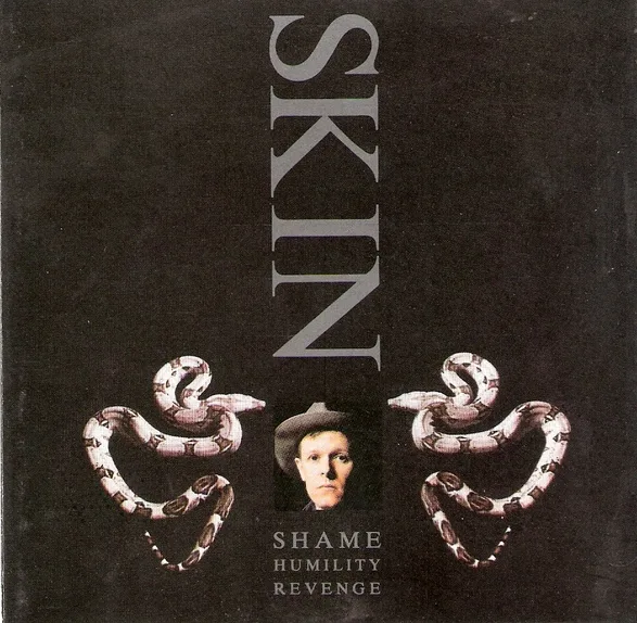 Official album cover art for the release Shame, Humility, Revenge by Skin