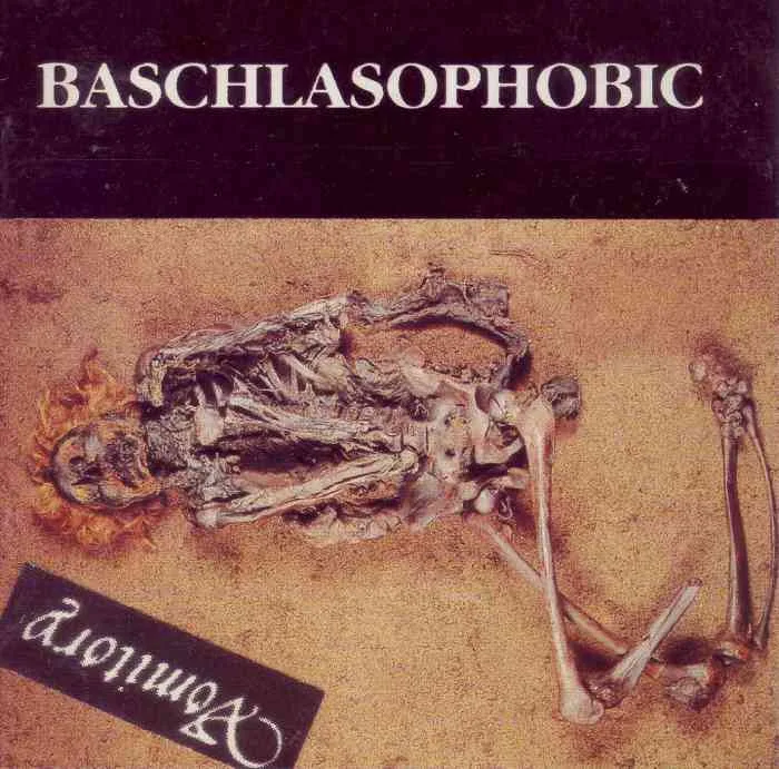 Official album cover art for the release Baschlasophobic by Vomitory