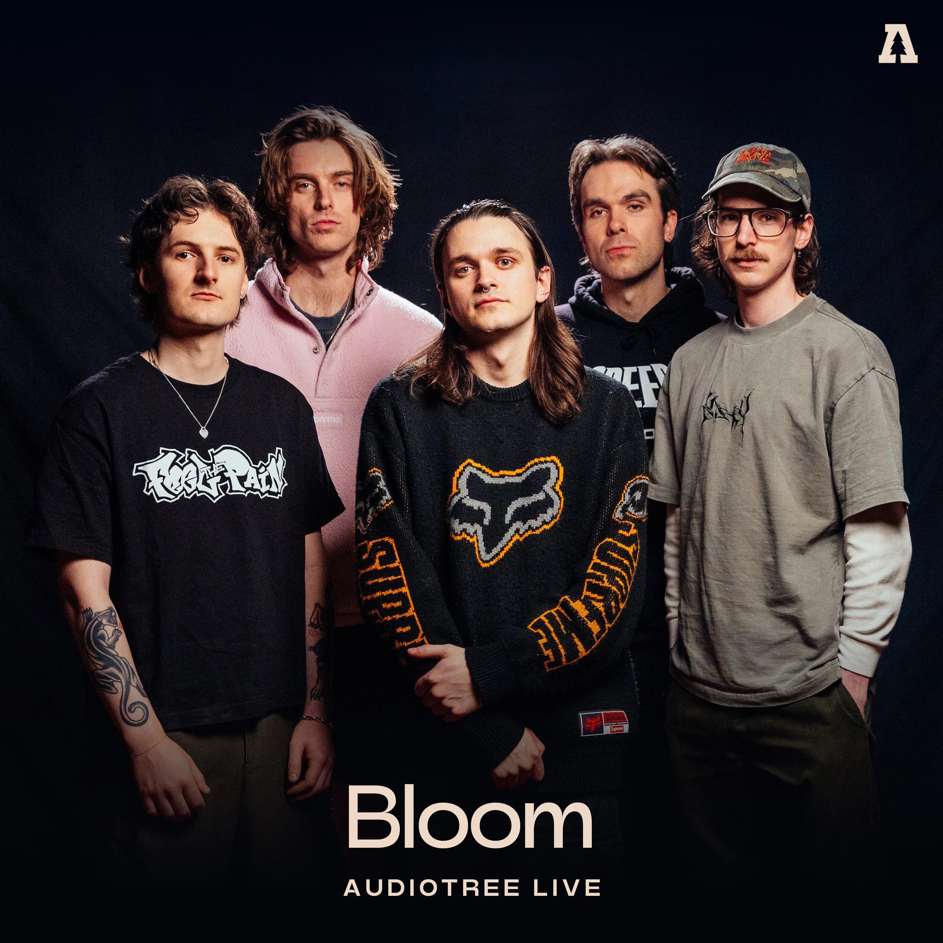 Official album cover art for the release Audiotree Live by Bloom