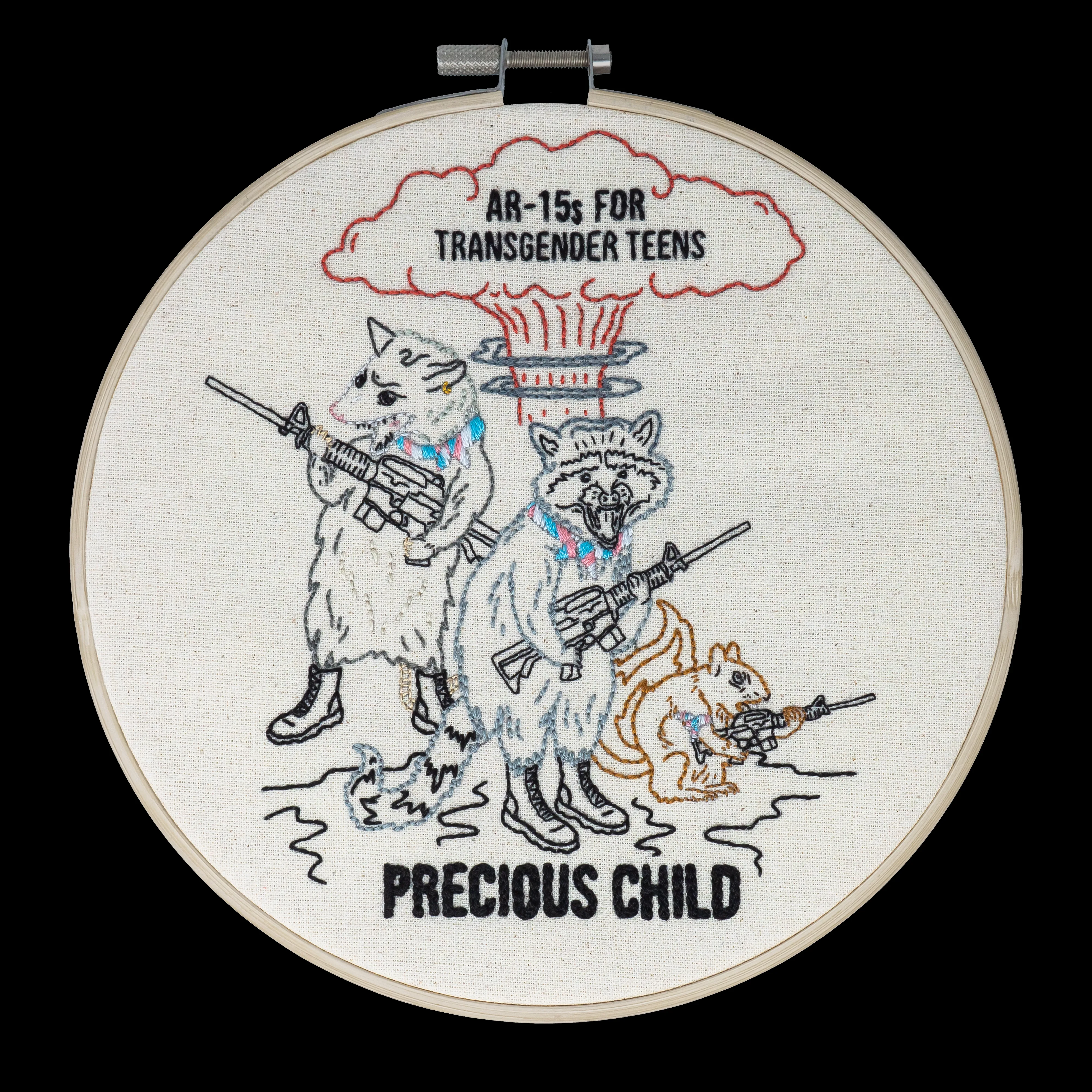 Official album cover art for the release AR-15s for Transgender Teens by Precious Child