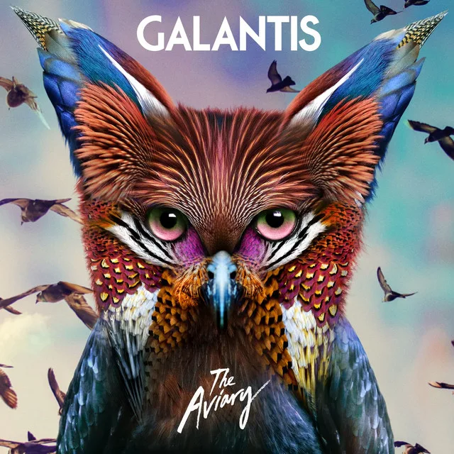 Official album cover art for the release The Aviary by Galantis