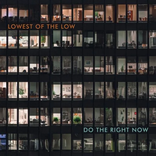 Official album cover artwork for Do the Right Now by The Lowest of the Low