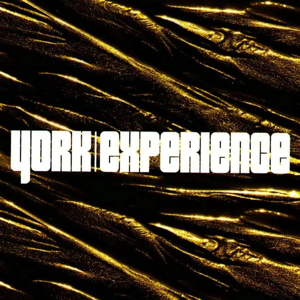 Official album cover art for the release Experience by York