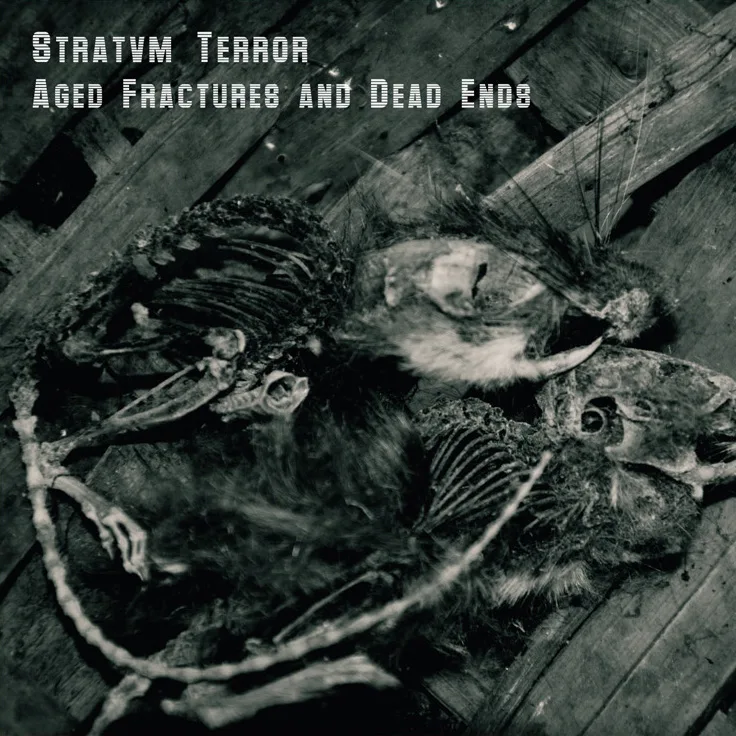 Official album cover art for the release Aged Fractures and Dead Ends by Stratvm Terror