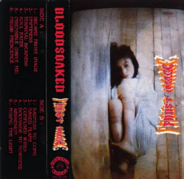 Official album cover art for the release Frost Image by Bloodsoaked