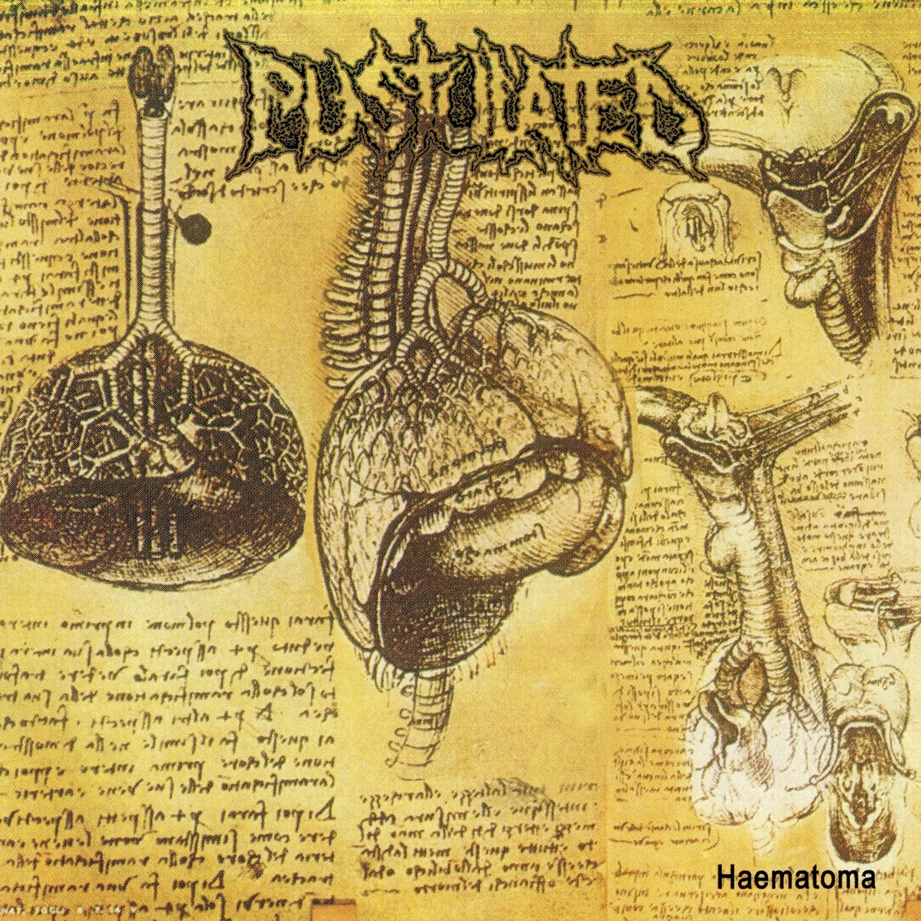 Official album cover art for the release Haematoma by Pustulated