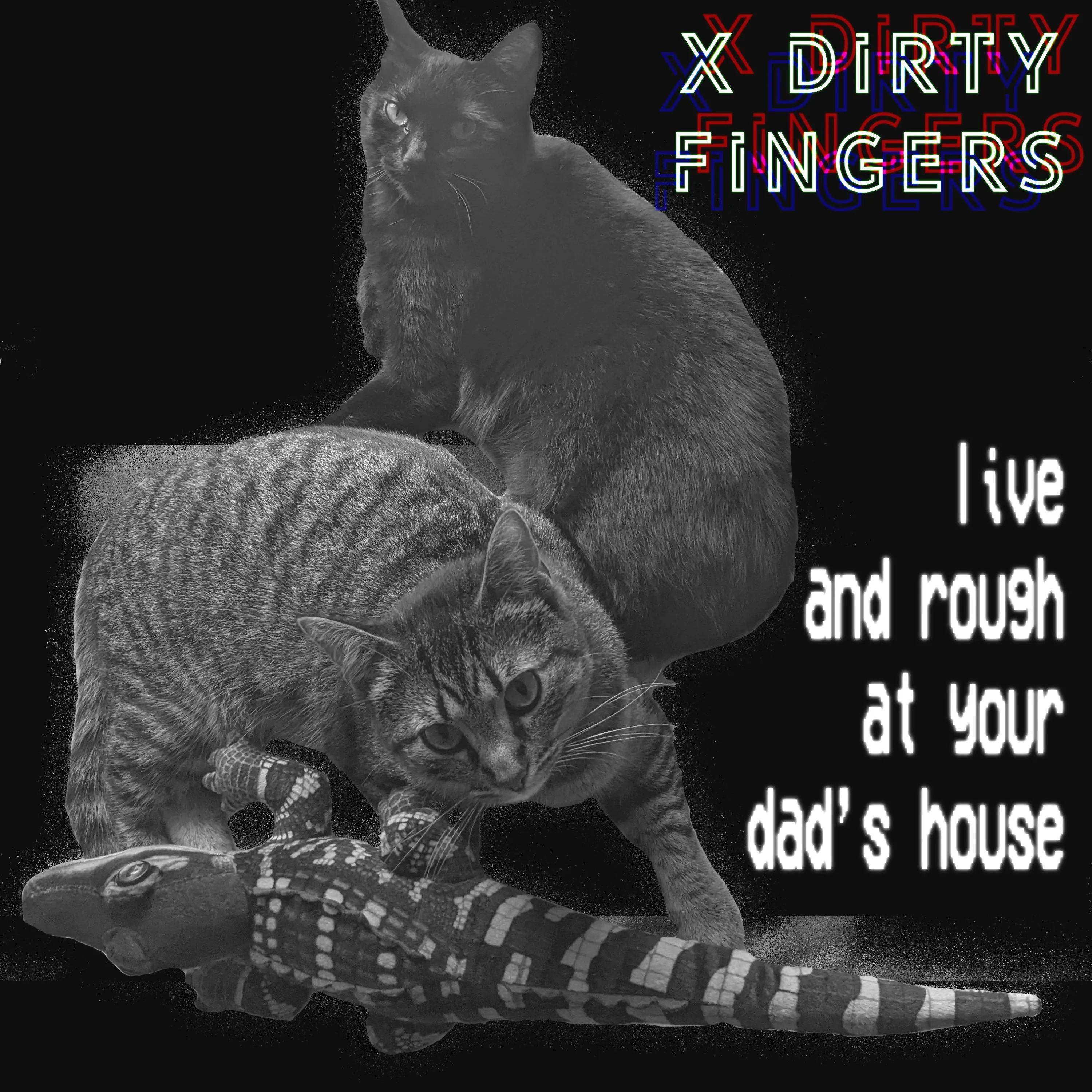 Official album cover art for the release Live & Rough at Your Dad's House by X Dirty Fingers