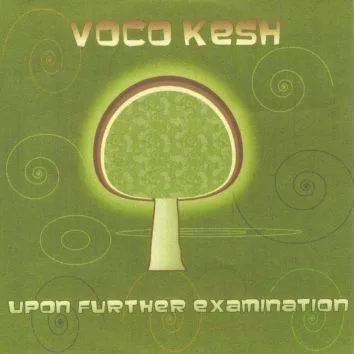 Official album cover art for the release Upon Further Examination by Vocokesh