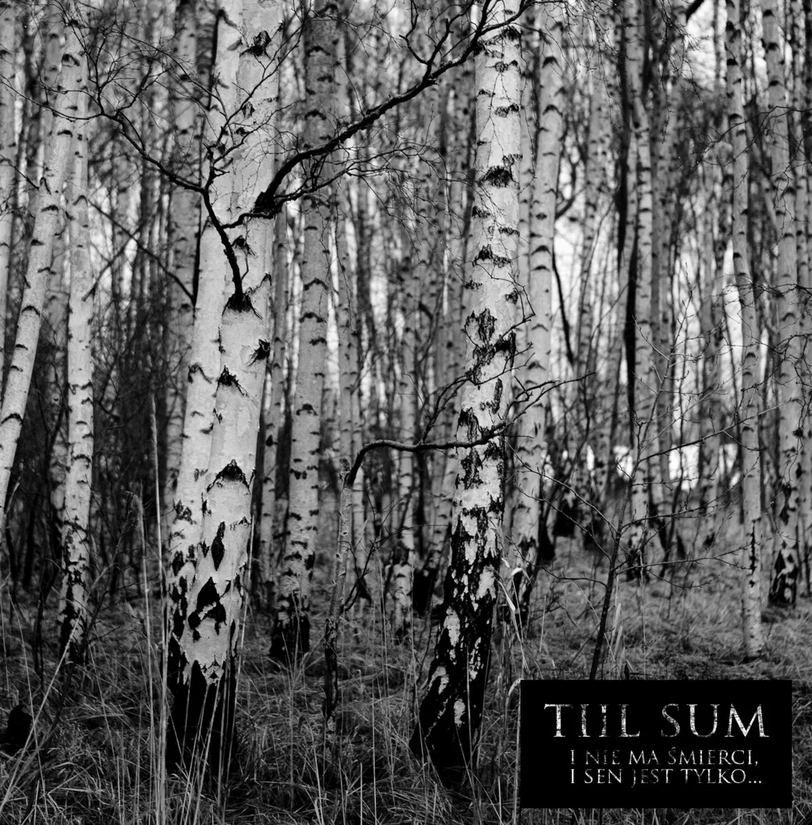 Official album cover artwork for I nie ma śmierci, i sen jest tylko... by Tiil Sum