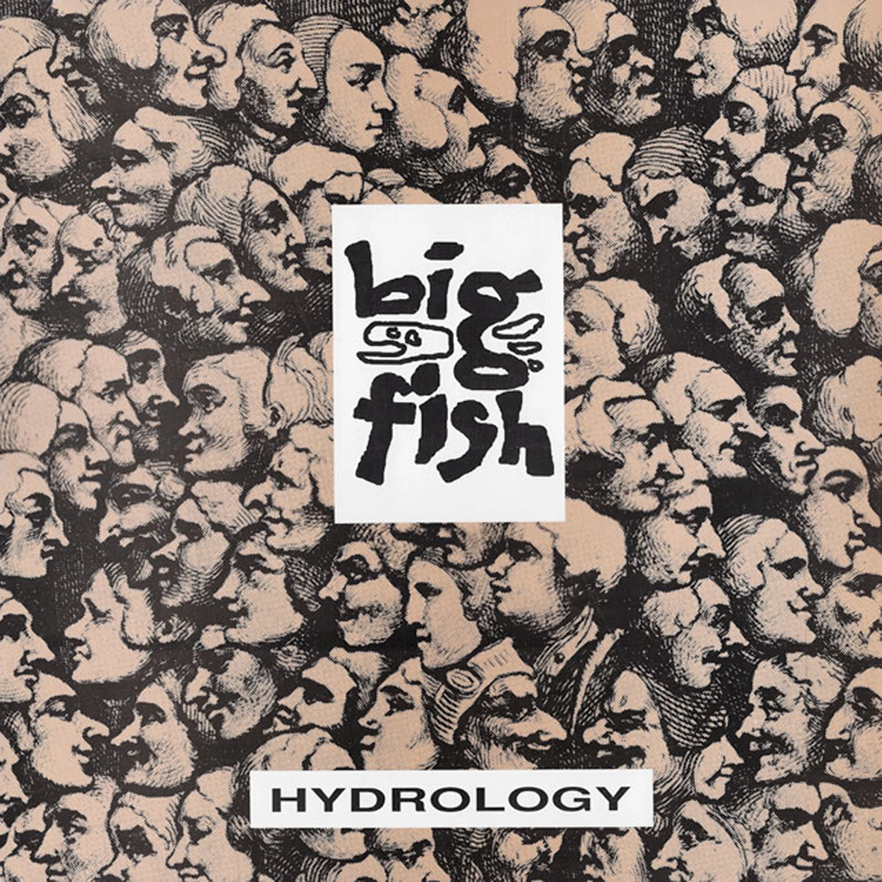 Official album cover art for the release Hydrology by Big Fish