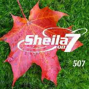 Official album cover art for the release 507 by Sheila on 7