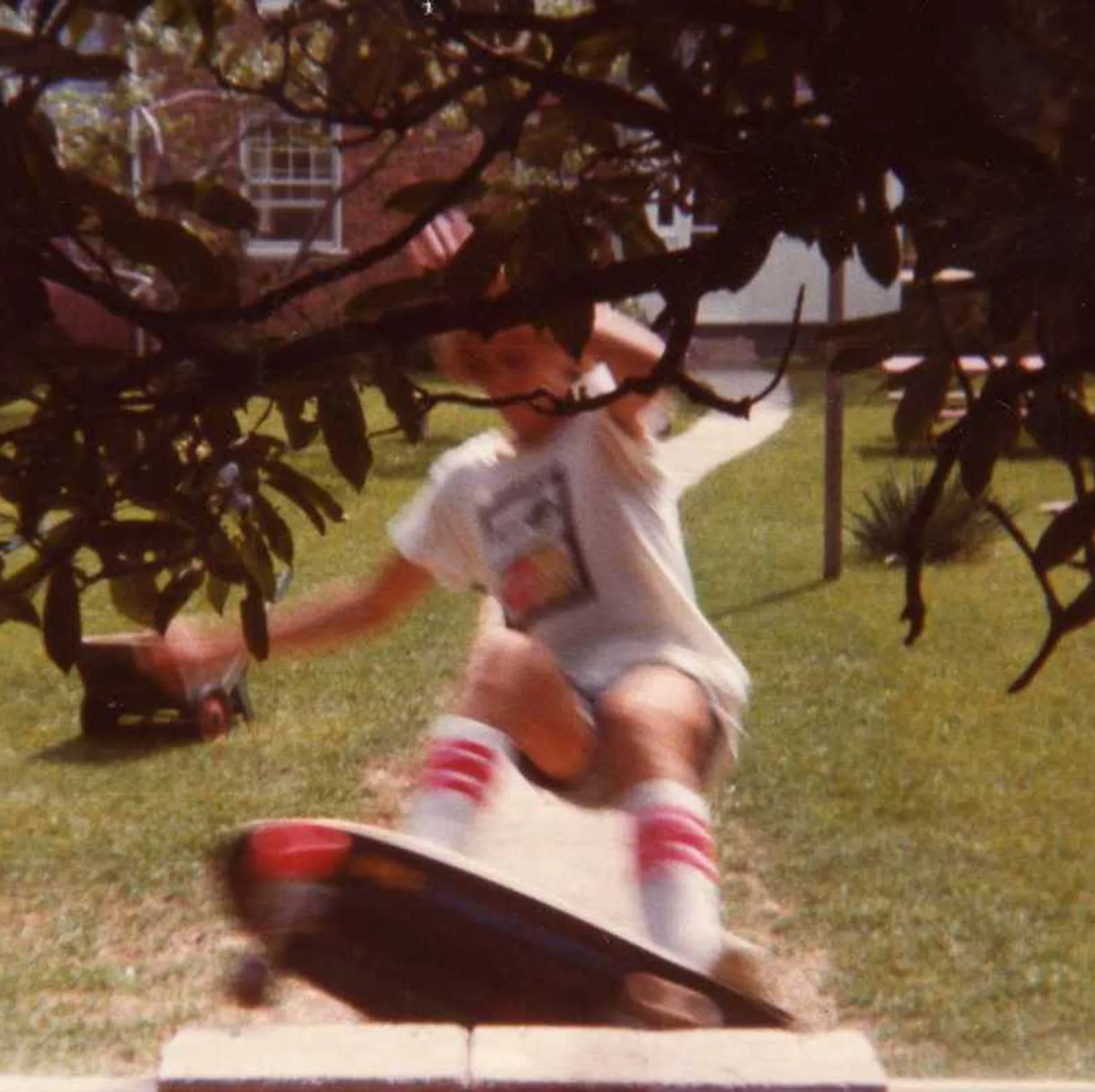 Official album cover art for the release Wavvves by Wavves