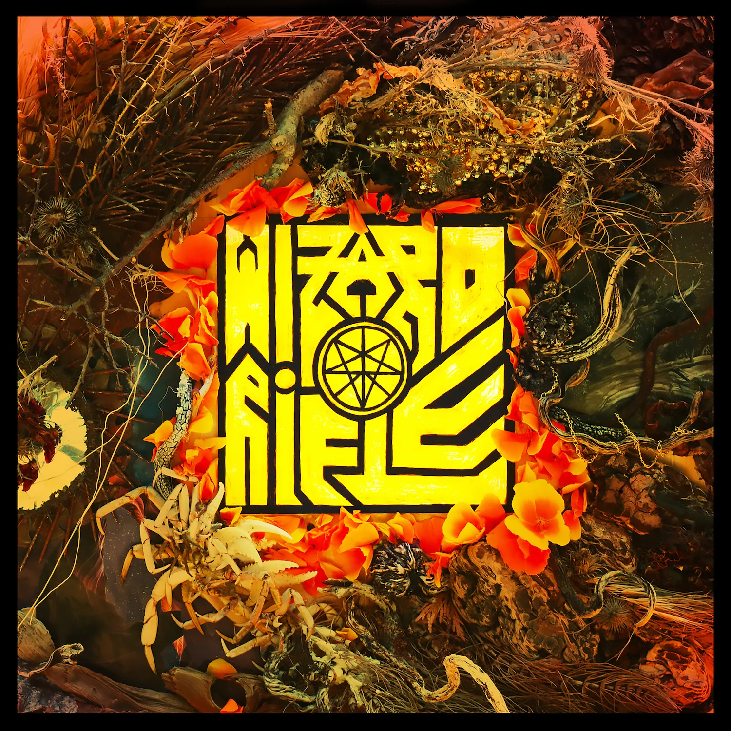 Official album cover art for the release Wizard Rifle by Wizard Rifle