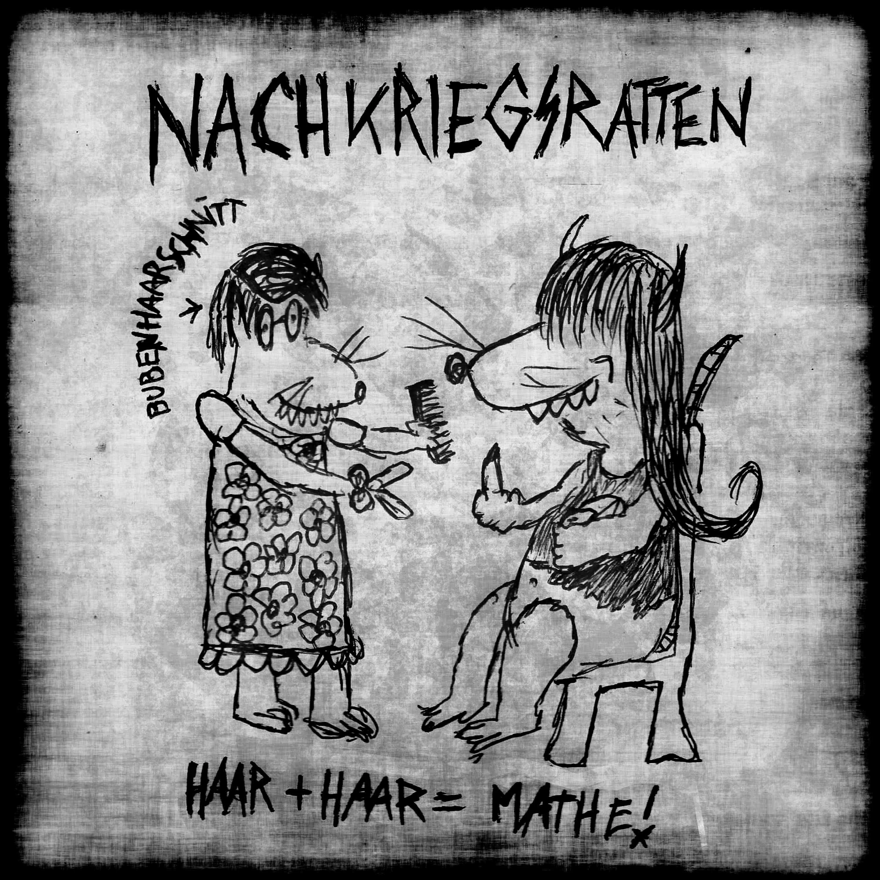 Haar + Haar = Mathe!