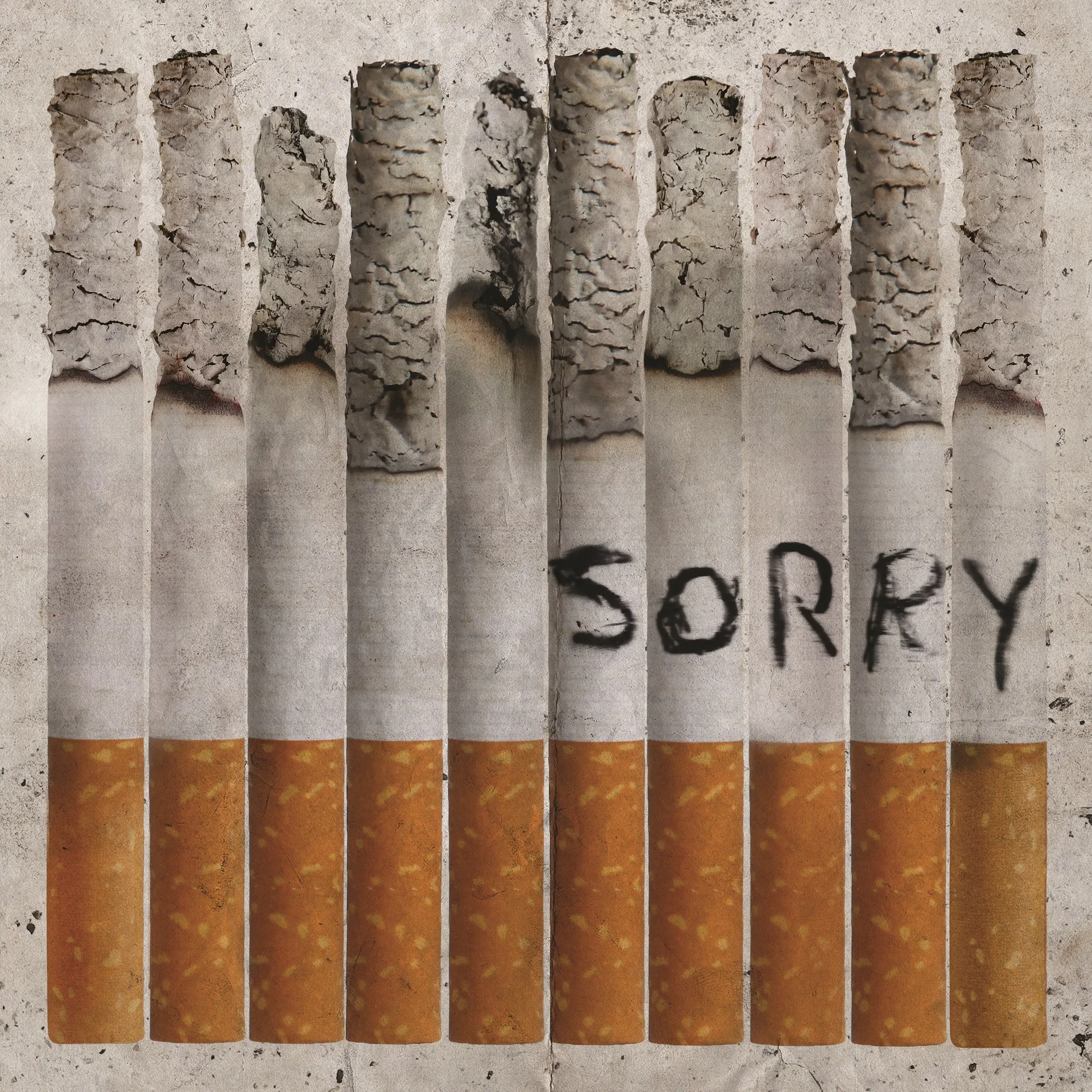 Official album cover art for the release Sorry by Totally Unicorn