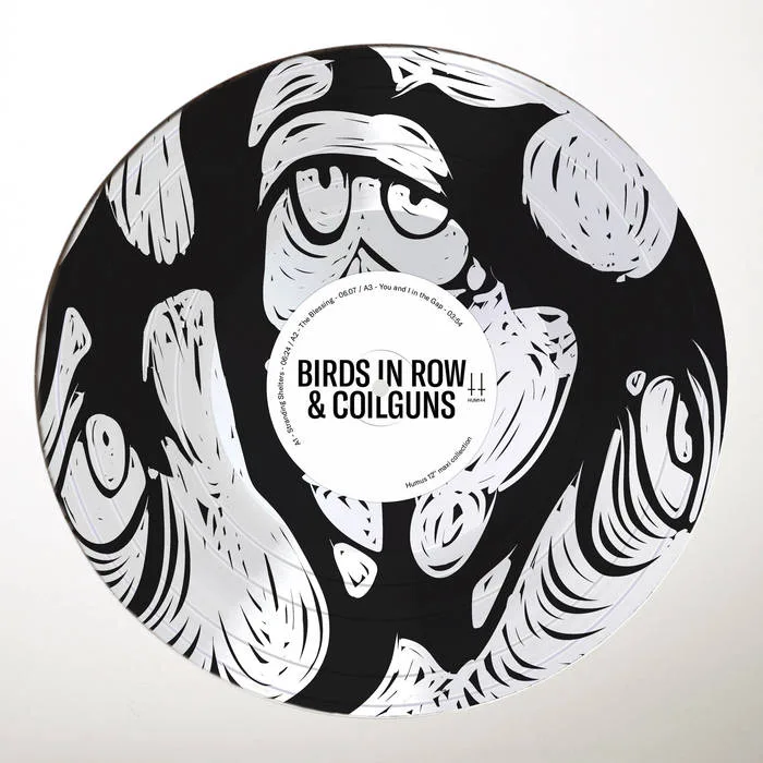 Official album cover art for the release You and I in the Gap by Birds in Row