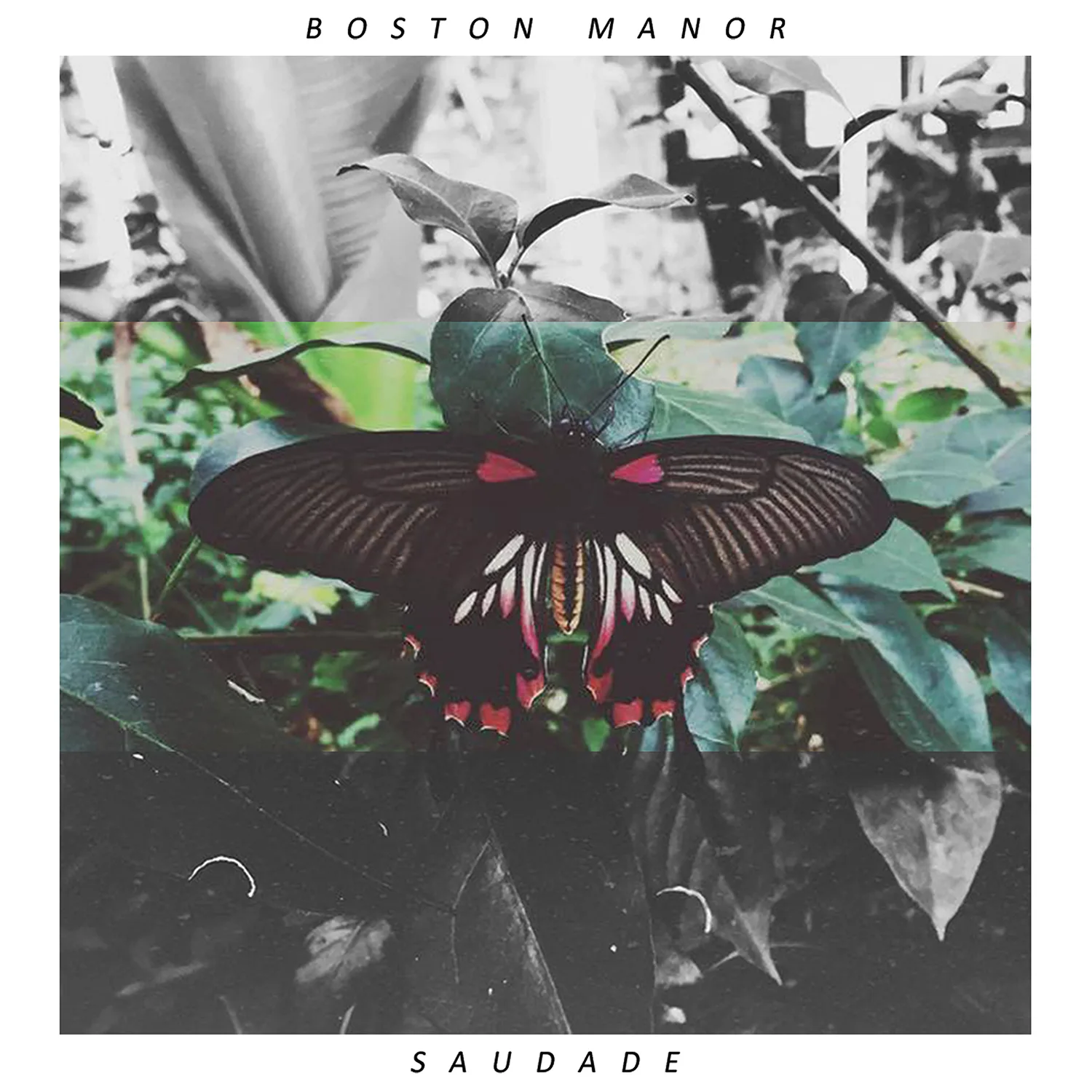Official album cover art for the release Saudade by Boston Manor