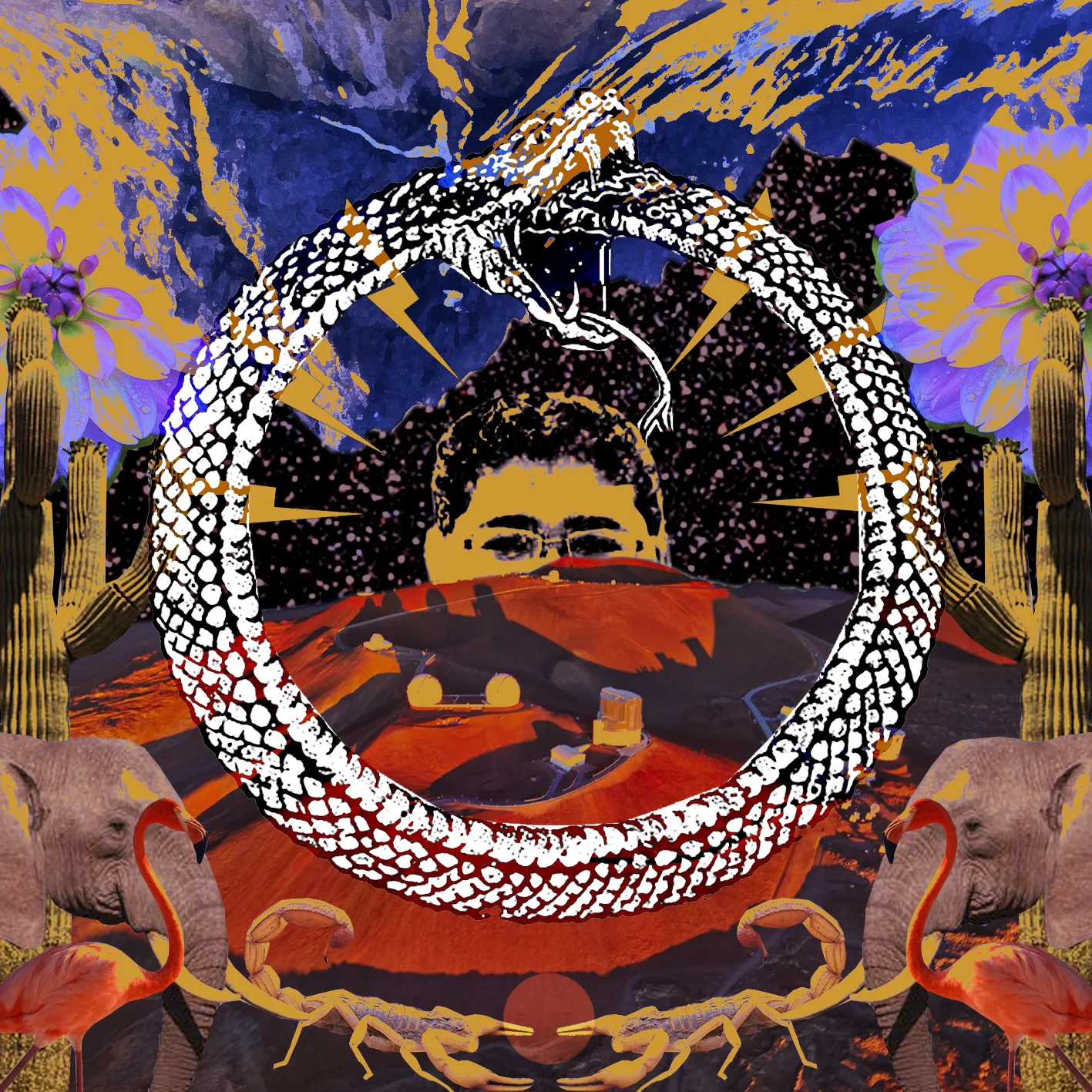 Official album cover art for the release Neverending Cycle by Stone House on Fire