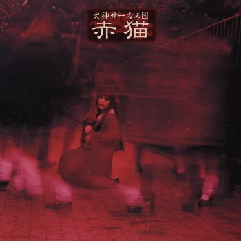 赤猫