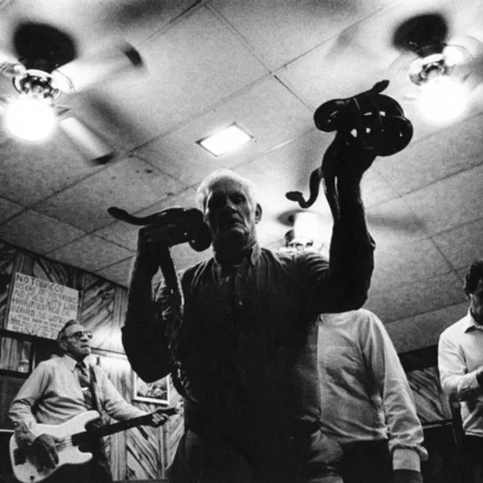 Official album cover art for the release Snake Rattle and Roll by Rattlesnake Milk