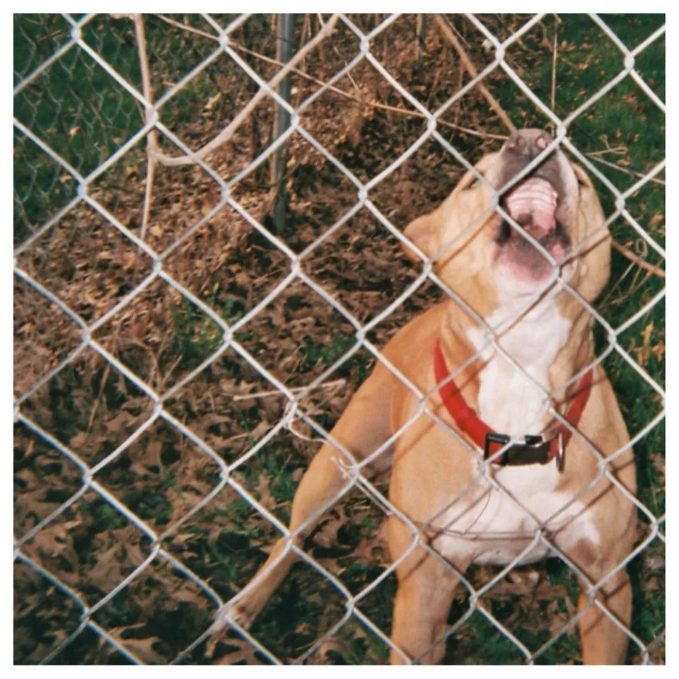 Official album cover art for the release Pop Culture by Knocked Loose
